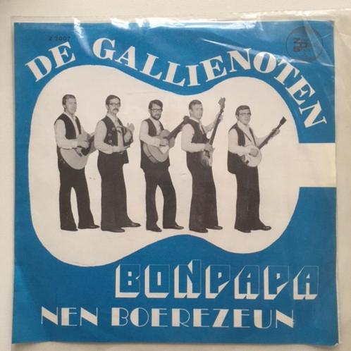 De Gallienoten (Temse), CD & DVD, Vinyles | Néerlandophone, Comme neuf, Enlèvement