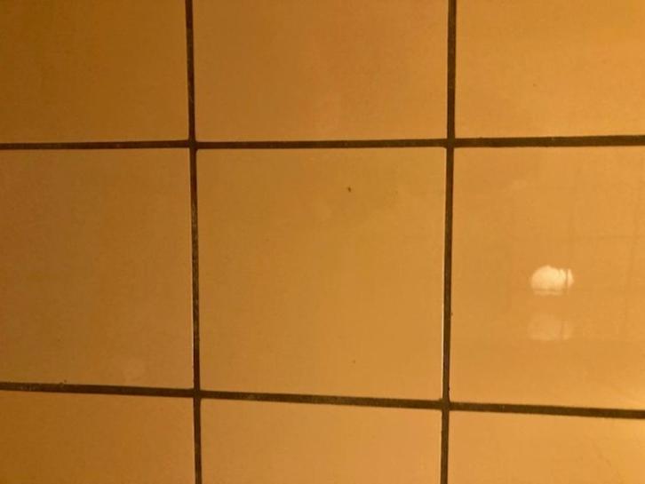 Wandtegels, Doe-het-zelf en Bouw, Tegels, Gebruikt, Wandtegels, Keramiek, Minder dan 20 cm, Minder dan 20 cm, 10 m² of meer, Ophalen