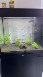 Juwel aquarium 120 liter met verwarmingseenheid en lamp, Dieren en Toebehoren, Ophalen, Zo goed als nieuw