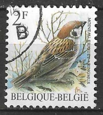 Belgie 1989 - Yvert 2348 /OBP 2347 - Buzin - Ringmus (ST) beschikbaar voor biedingen