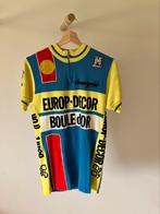 Maillot de vélo Gerrie Knetemann European Decor - Boule d'Or, Vélos & Vélomoteurs, Hommes, Enlèvement, Santini, Utilisé