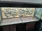 Juwel Rio 240 avec meuble et filtre, Dieren en Toebehoren, Vissen | Aquaria en Toebehoren, Gebruikt, Ophalen, Leeg aquarium