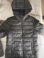 Zwarte jas van Tommy Jeans, Kleding | Dames, Ophalen, Zwart, Maat 36 (S), Gedragen