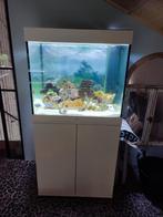 Aquarium juwel 200, Ophalen, Zo goed als nieuw