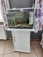 Aquarium van 60 liter + meubilair (compleet), Zo goed als nieuw, Ophalen