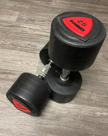 Hammerstrenght Dumbell set 25kg nieuwprijs €600,- . beschikbaar voor biedingen