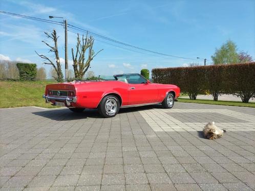 Ford Mustang convertible, Autos, Ford USA, Particulier, Mustang, Radio, Essence, Cabriolet, 2 portes, Automatique, Rouge, Beige