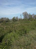 Grand terrain de 1ha31a34ca pour loisir à louer à Le Roeulx, Immo, Le roeulx, 1500 m² ou plus