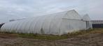 Tunnelserre 20m x 30m, Tuin en Terras, Ophalen, Gebruikt