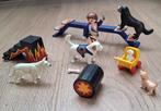 Playmobil 4237 hondentrainer met circus als thema, Kinderen en Baby's, Speelgoed | Playmobil, Ophalen of Verzenden, Gebruikt, Complete set