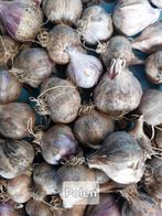 Look 'Polen' plantgoed, Tuin en Terras, Ophalen