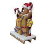 Séance photo en pain d'épice — 126 x 80 x 170 cm, Divers, Enlèvement, Neuf