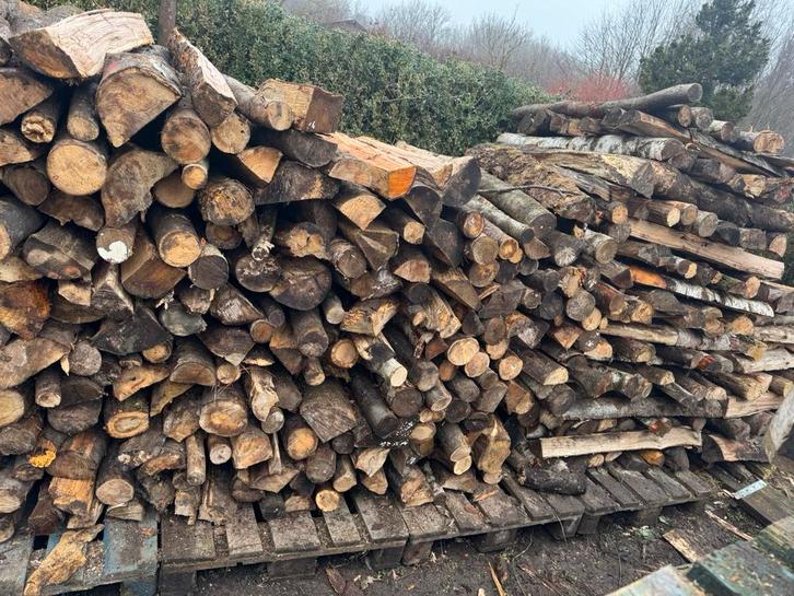Bois de chauffage 60€, Tuin en Terras, Brandhout, Ophalen