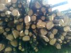 brandhout op stam, Jardin & Terrasse, 6 m³ ou plus, Troncs d'arbres, Autres essences de bois, Enlèvement ou Envoi