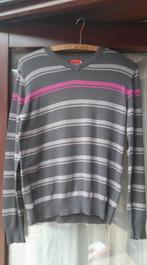 Trui van Someone maat 146, Kinderen en Baby's, Kinderkleding | Maat 146, Gebruikt, Trui of Vest, Ophalen of Verzenden, Someone