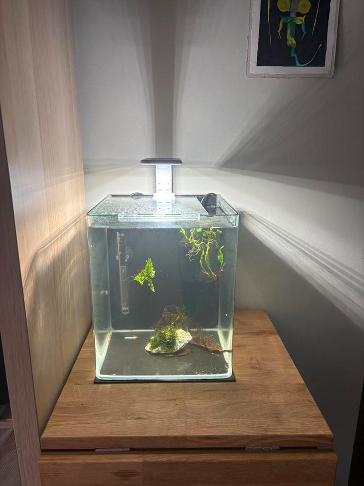 Aquadella aquarium, Animaux & Accessoires, Poissons | Aquariums & Accessoires, Comme neuf, Enlèvement