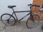 Herenfiets, Gebruikt, Versnellingen, 57 tot 61 cm, Ophalen