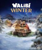 Walibi WInter - Tickets, Tickets en Kaartjes, Ticket of Toegangskaart