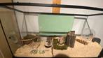 Terrarium, Cage, Enlèvement, Utilisé, Hamster