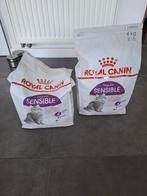 Royal canin sensible 4kg kat, Enlèvement, Chat