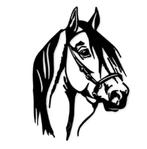 Paardenhoofd in metaal, Ophalen of Verzenden, Nieuw