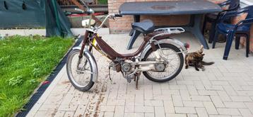 Honda Camino beschikbaar voor biedingen