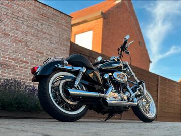 Harley Davidson Sportster Custom 1200 xl beschikbaar voor biedingen