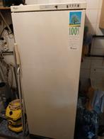 diepvrieskast, Elektronische apparatuur, Koelkasten en IJskasten, Ophalen, Gebruikt