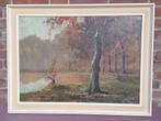 Schilderij herfsttafereel "meer in het bos", Ophalen