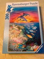 Puzzel 300 stukjes dolfijnen, Enlèvement ou Envoi, Comme neuf