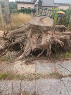 Gratis hele grote boomstronken / stronken, Tuin en Terras, Brandhout, Ophalen
