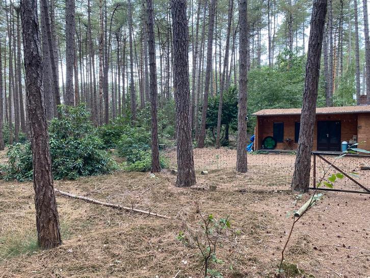 Bosgrond met Chalet te Gierle, Immo, Gronden en Bouwgronden, 1500 m² of meer, Verkoop zonder makelaar