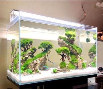 Gezocht gratis aquariums lees beschrijving  beschikbaar voor biedingen
