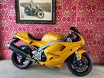 mooie Triumph Daytona 595 (955cc), Super Sport, 2 cylindres, 955 cm³, Plus de 35 kW