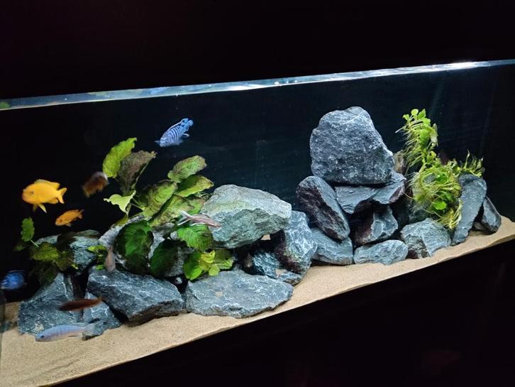 Aquarium, kras en lekvrij, Dieren en Toebehoren, Vissen | Aquaria en Toebehoren, Gebruikt, Leeg aquarium, Ophalen