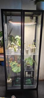 Vitrine milsbo serre complet, Enlèvement