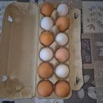Œufs frais élevés en plein air, Enlèvement