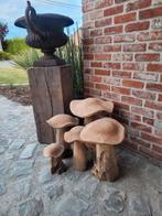 Paddestoelen set van TEAK HOUT !  5 STUKS, knap in elke tuin, Tuin en Terras, Ophalen of Verzenden, Hout