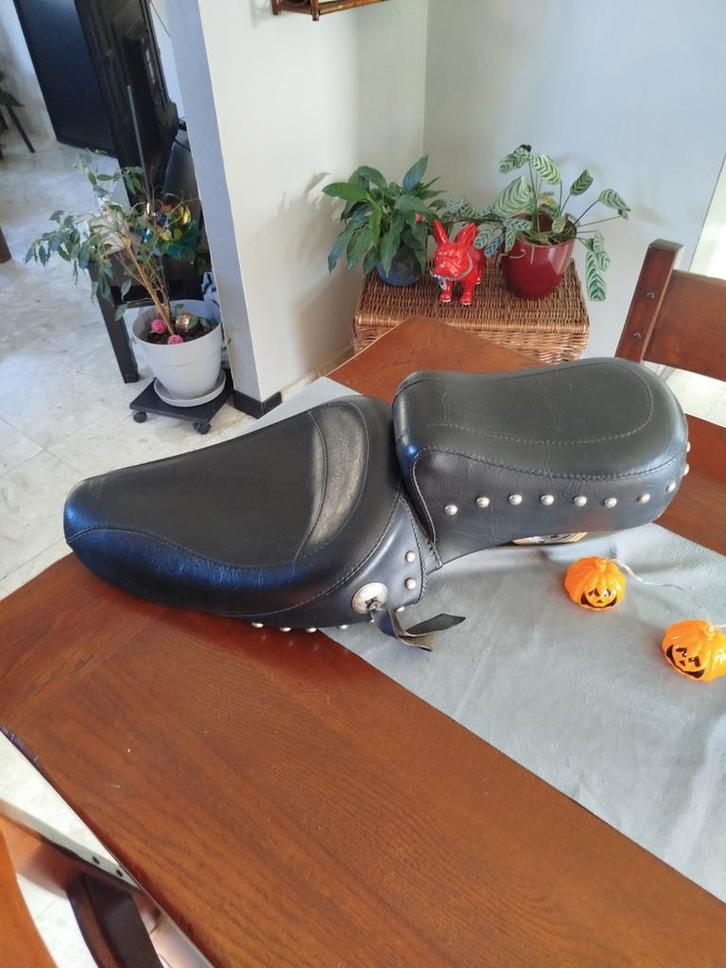 Superbe selle MUSTANG pour Harley Davidson sportster...., Motos, Pièces | Harley-Davidson, Enlèvement