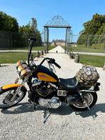 Sportster 1200 Custom 2000, Motoren, Motoren | Harley-Davidson, 2 cilinders, Chopper, Particulier, Meer dan 35 kW