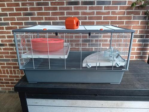 Groot hok voor hamster, cavia, konijn..., Dieren en Toebehoren, Knaagdieren en Konijnen | Hokken en Kooien, Zo goed als nieuw