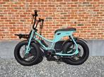 Ebike, Fietsen en Brommers, Ophalen, Cruiser, Ruff cycles, Aluminium