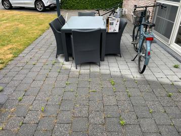30m2 Betonklinkers 20x20x6, Ophalen