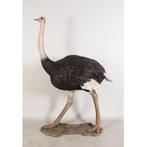 Ostrich – Struisvogel beeld - 213 cm, Verzamelen, Nieuw, Ophalen of Verzenden