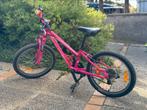 Vélo pour fille Specialized 20 pouces, Fietsen en Brommers, Fietsen | Meisjes, Specialized, Versnellingen, Ophalen of Verzenden