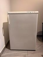 Zanker diepvries 110 liter, Elektronische apparatuur, Ophalen, Zo goed als nieuw