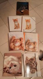 schoolmateriaal, Enlèvement ou Envoi