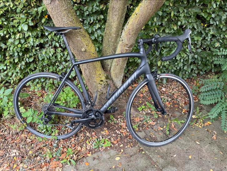 Specialized Tarmac Elite m58, Fietsen en Brommers, Fietsen | Racefietsen, Zo goed als nieuw, Heren, Overige merken, Carbon, 57 tot 61 cm