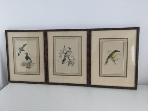 Lot de 3 petits cadres/gravures  oiseaux, Antiquités & Art, Curiosités & Brocante, Enlèvement ou Envoi