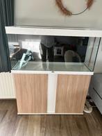 Aquarium 1m20 (230 liter), Dieren en Toebehoren, Ophalen, Gebruikt